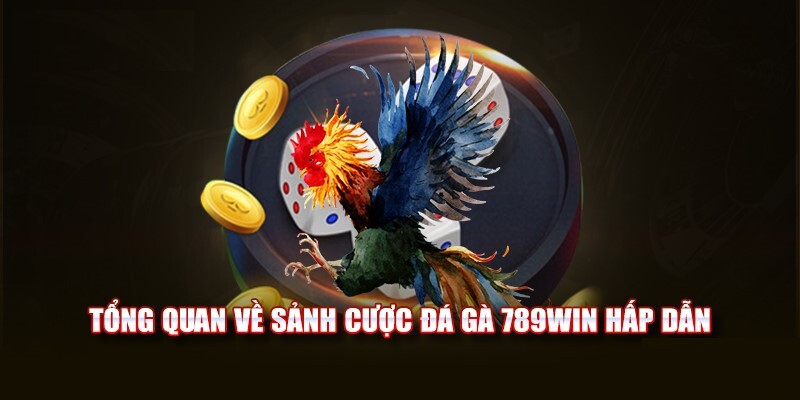 Đá gà 789win cực kỳ hấp dẫn