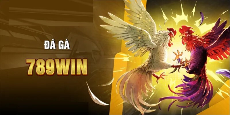 Tham gia nhà cái 789win để nhận thưởng hậu hĩnh